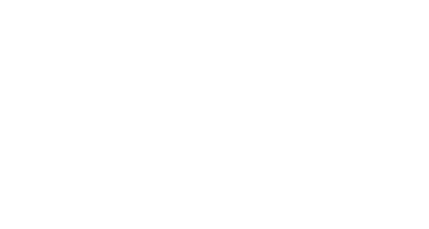 City of Wabasso Logo-Secondary White